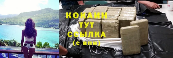 прущие крисы Белокуриха