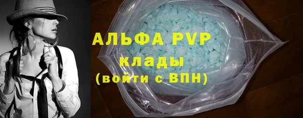 прущие грибы Белоозёрский