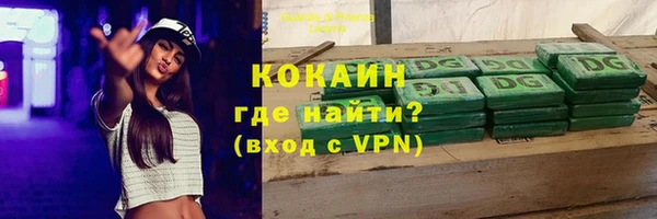 прущие грибы Белоозёрский