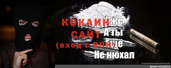 прущие крисы Белокуриха