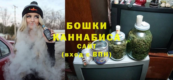 прущие грибы Белоозёрский